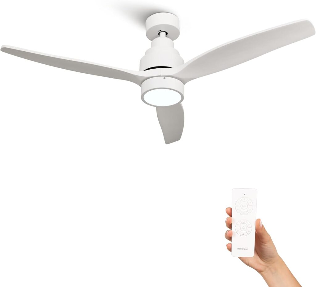 Le meilleur ventilateur de plafond : ventilateur Mellerware