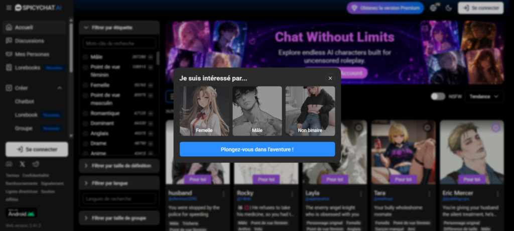 Test de SpicyChat : capture de la première interface d'accueil