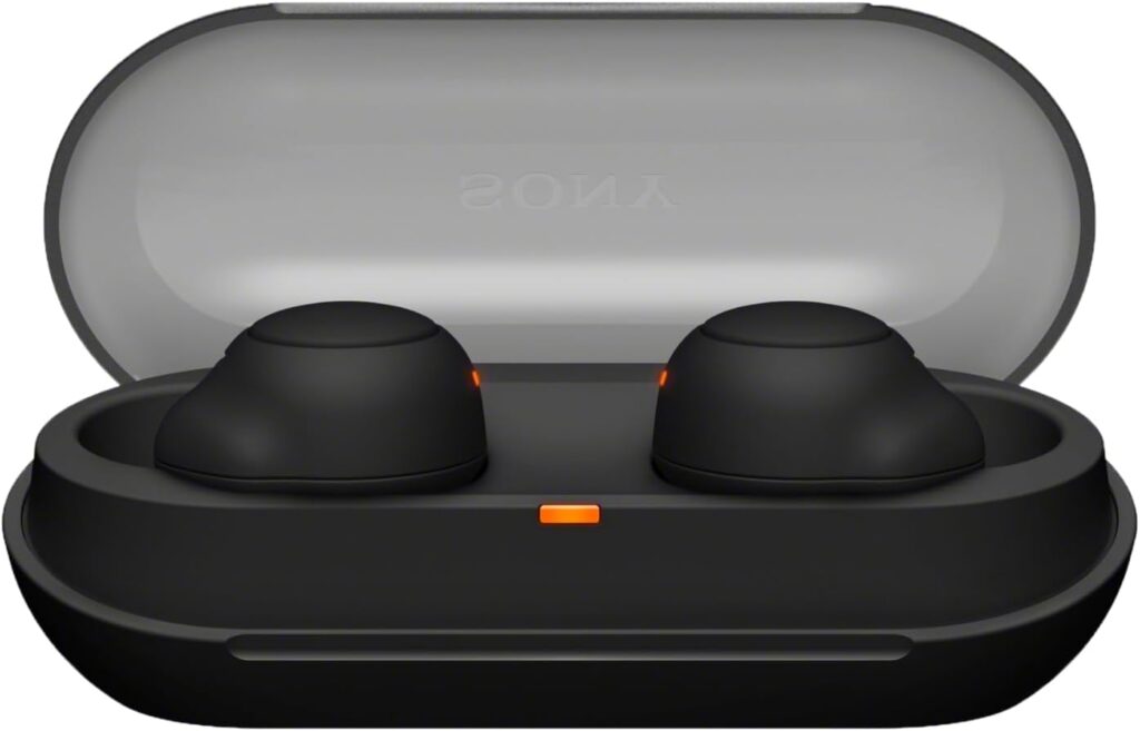 Sony WF-C500